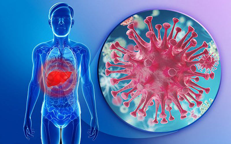 Viêm gan b là căn bệnh truyền nhiễm gây ra bởi virus HPV