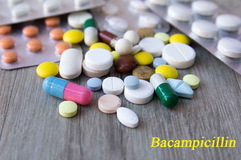 Bacampicillin là thuốc ngăn ngừa vi khuẩn gây nhiễm khuẩn trong cơ thể