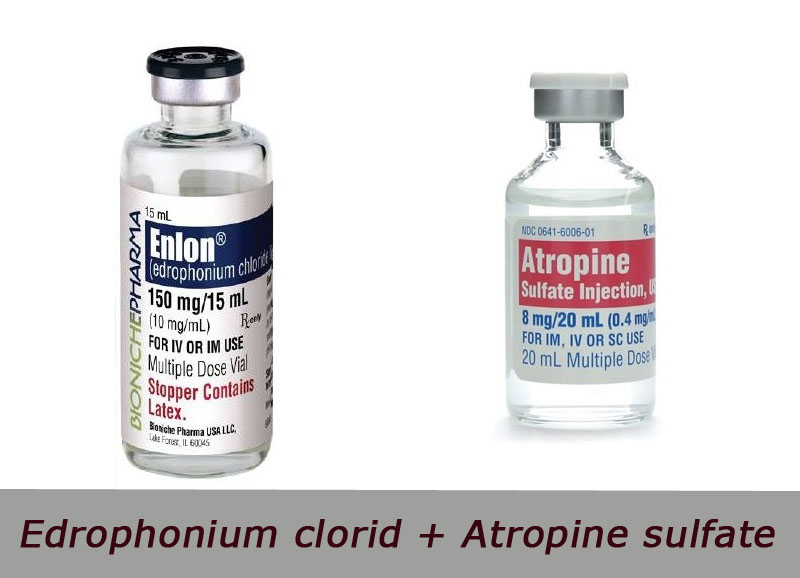 Edrophonium clorid + Atropine sulfate là thuốc gì?