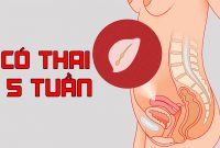 Có thai 5 tuần