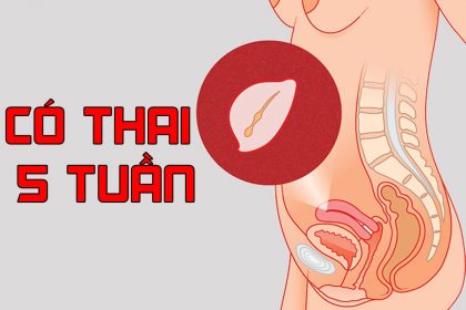 Có thai 5 tuần