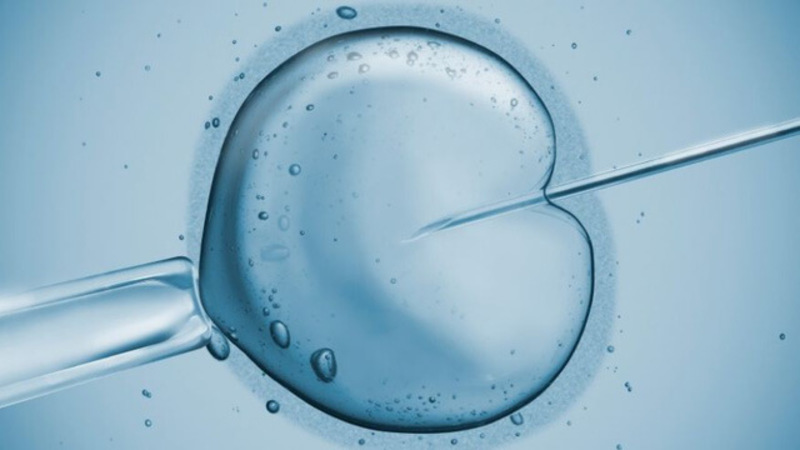 Kinh nghiệm làm IVF thành công