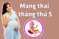 Mang thai tháng thứ 5