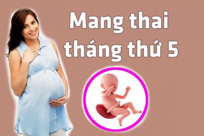 Mang thai tháng thứ 5