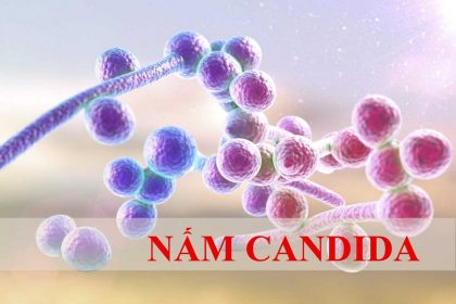 Nấm Candida