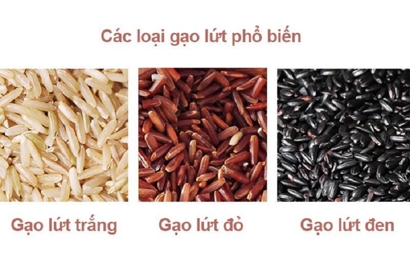 Những loại gạo lức phổ biến ở Việt Nam