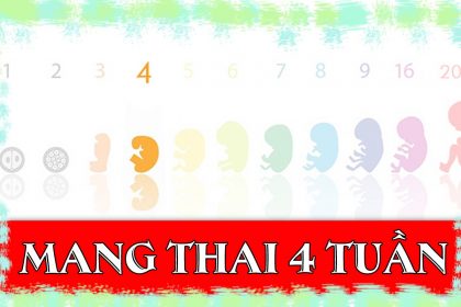 Thai 4 tuần tuổi có kích thước bao nhiêu