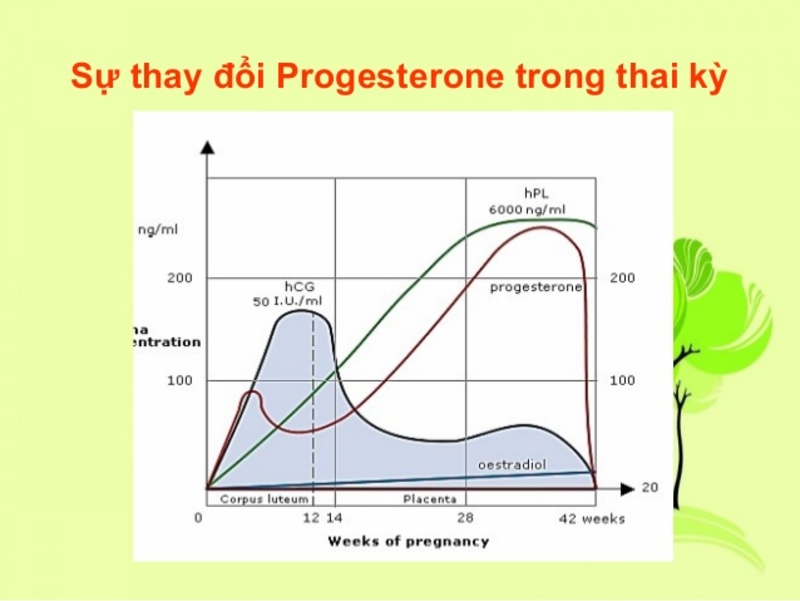 Thay đổi hormone có thể dẫn tới đau lưng khi mới thụ thai