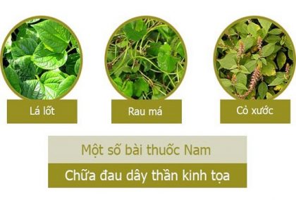 thuốc nam chữa đau thần kinh tọa