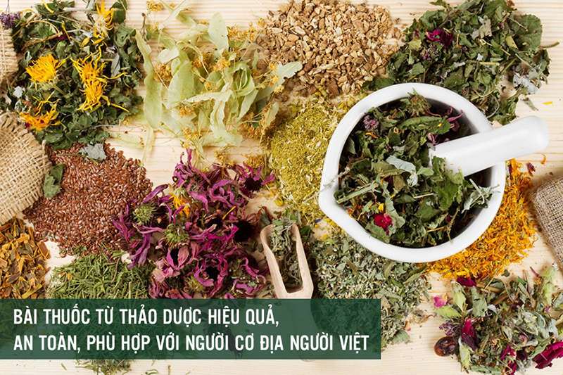 Các bài thuốc được bào chế từ thảo dược thiên nhiên sạch