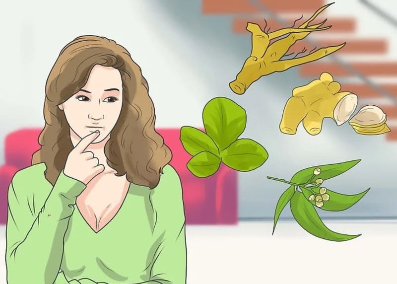 Dùng thảo mộc để kích thích trứng rụng tự nhiên Dùng thảo mộc để kích thích trứng rụng tự nhiên