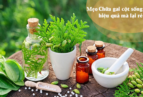 mẹo chữa gai cột sống