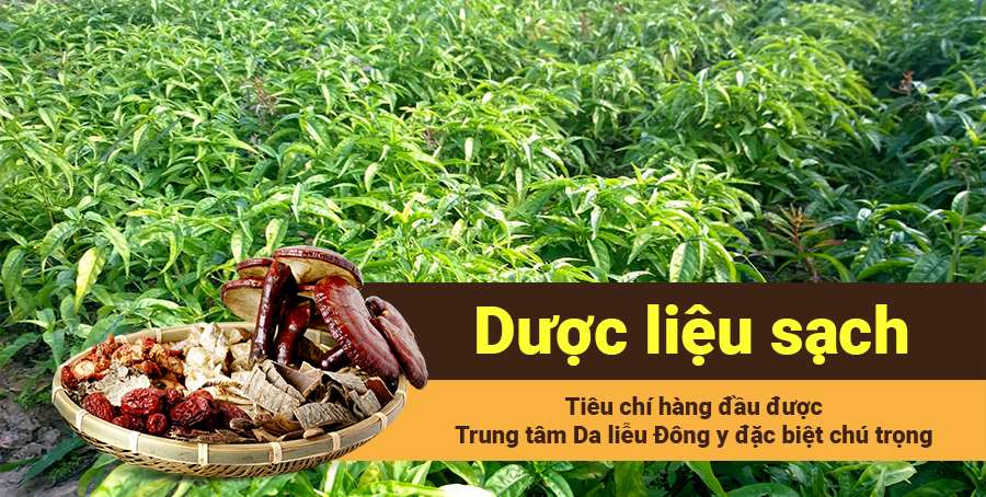 Dược liệu sạch là tiêu chí số 1 để đem lại sản phẩm chất lượng