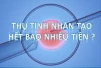 Thụ tinh nhân tạo hết bao nhiêu tiền