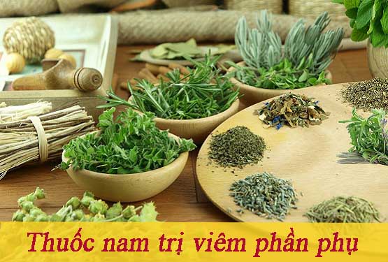 Thuốc nam trị viêm phần phụ