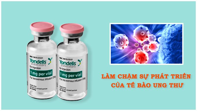 Yondelis@ làm chậm sự phát triển của tế bào ung thư