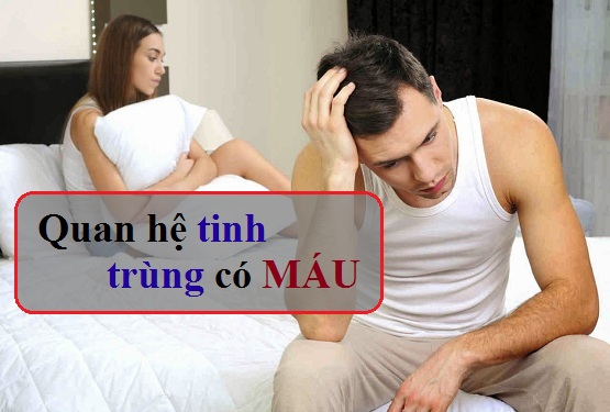 Quan hệ tinh trùng có máu