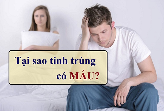 Tại sao tinh trùng có máu