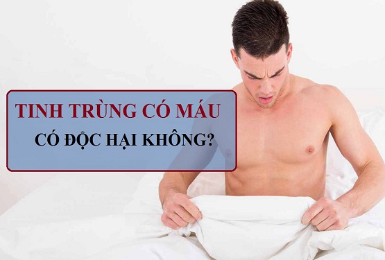 Tinh trùng có máu có độc hại không