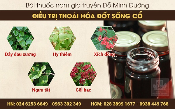 Thảo dược trong bài thuốc chữa thoái hóa đốt sống cổ của Đỗ Minh Đường