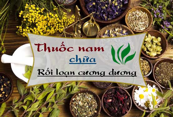 Thuốc nam chữa rối loạn cương dương