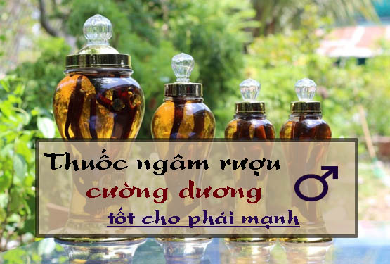 Thuốc ngâm rượu cường dương