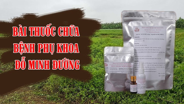 Bài thuốc Phụ khang Đỗ Minh - giải pháp điều trị viêm lộ tuyến không xâm lấn