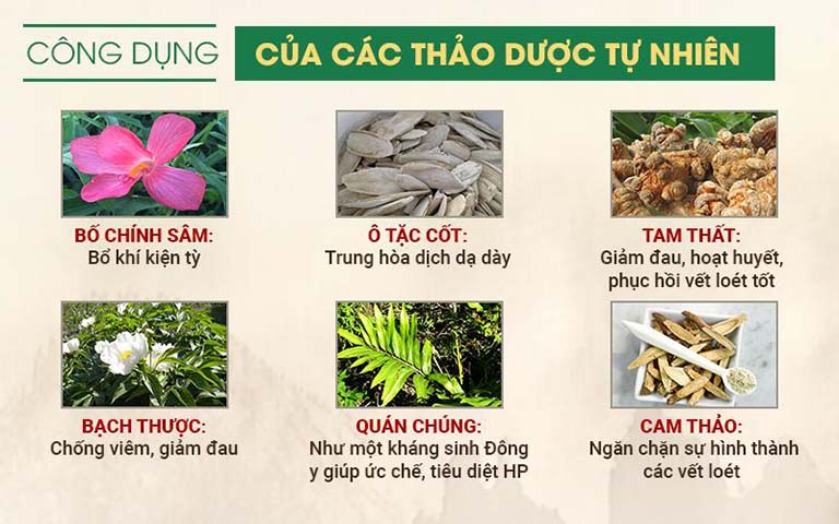 Thành phần thảo dược quý có trong Sơ can Bình vị tán