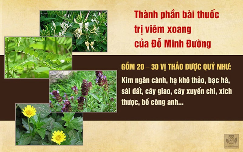 Thảo dược bào chế trong bài thuốc nam Đỗ Minh Đường