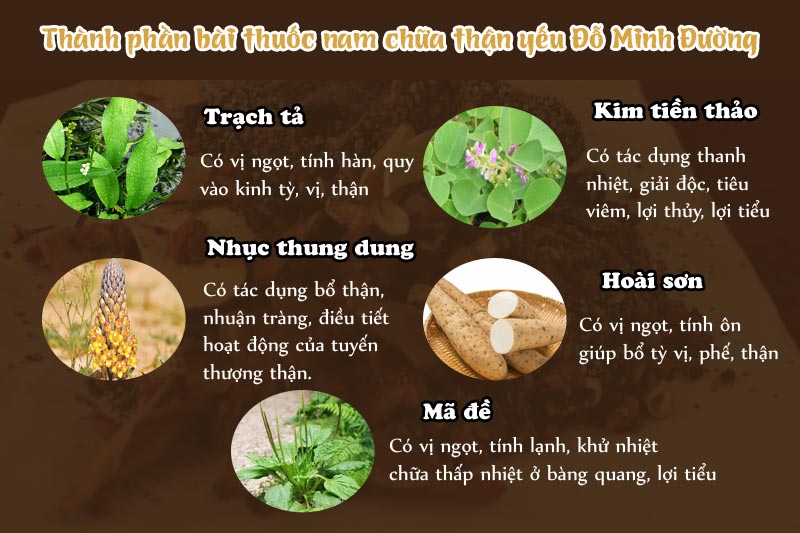 Thành phần bài thuốc chữa thận yếu Đỗ Minh Đường