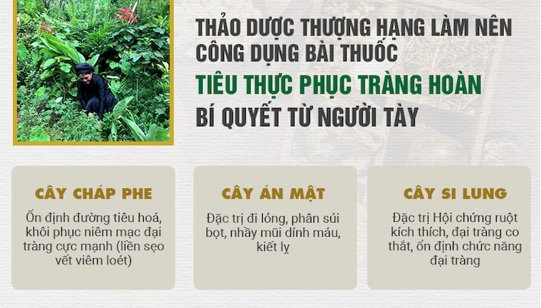 Thành phần thảo dược quý của người Tày