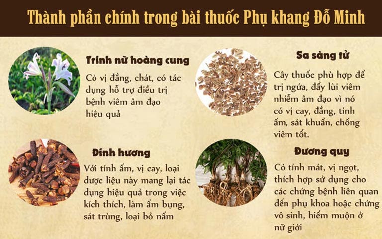 Một số vị thuốc chính trong bài thuốc Phụ Khang Đỗ Minh