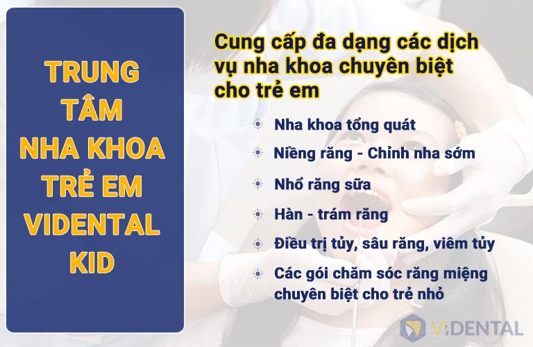 Trung tâm Nha khoa trẻ em Vidental Kid