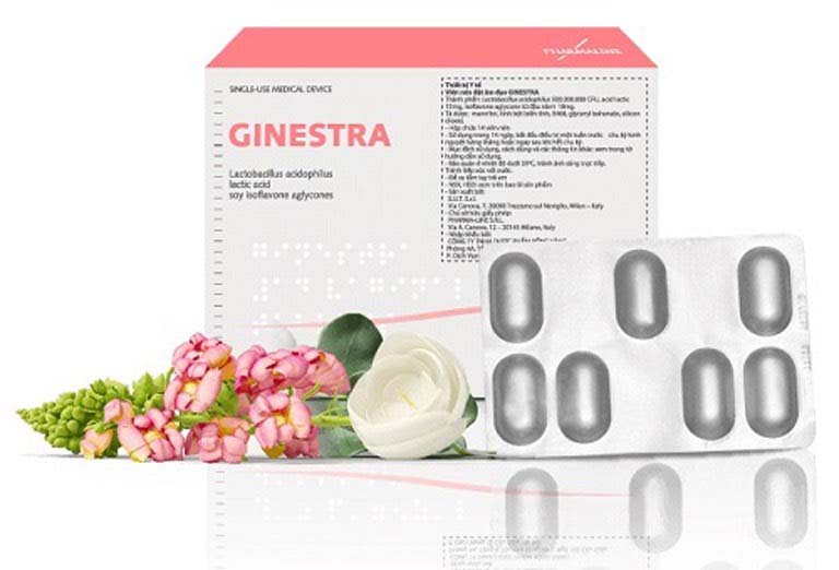 Ginestra có công dụng cân bằng hệ vi khuẩn trong âm đạo