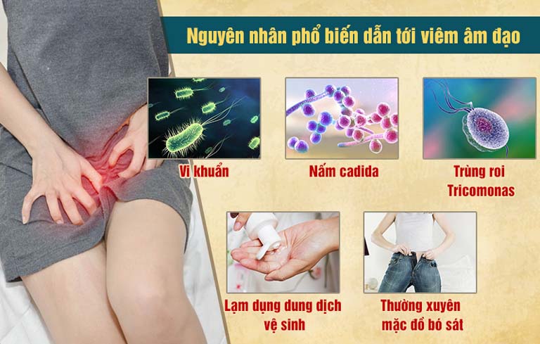 Nguyên nhân chính gây viêm âm đạo