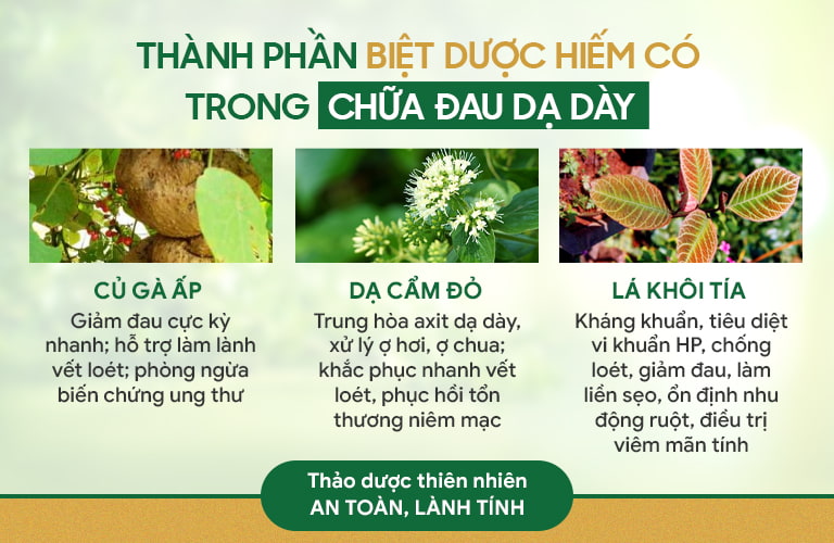 Công dụng chính của 3 chủ dược trong bài thuốc