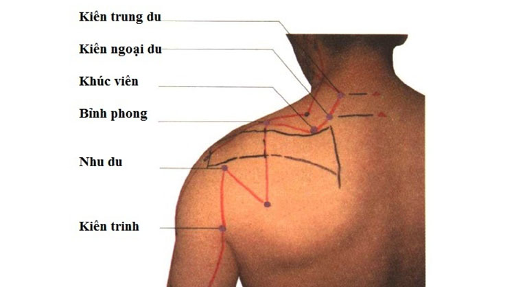 cách bấm huyệt chữa đau vai gáy