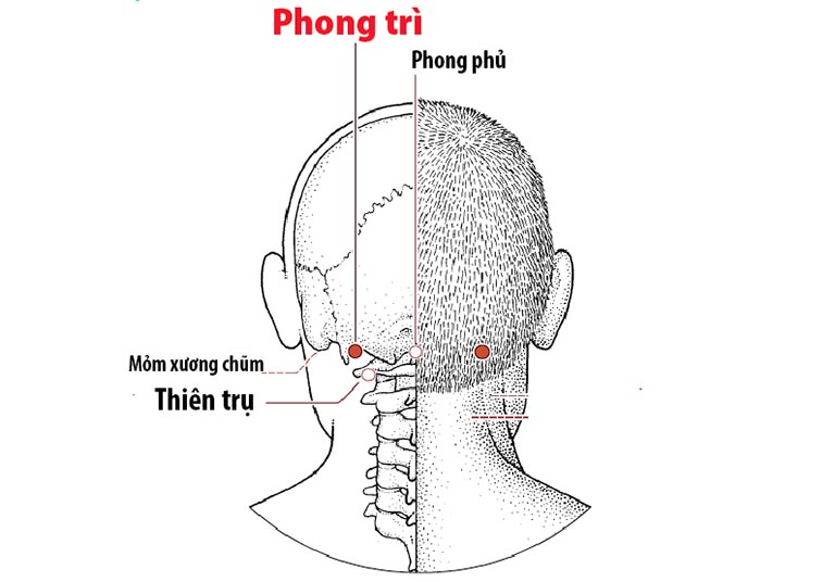 bấm huyệt chữa đau vai gáy tại nhà