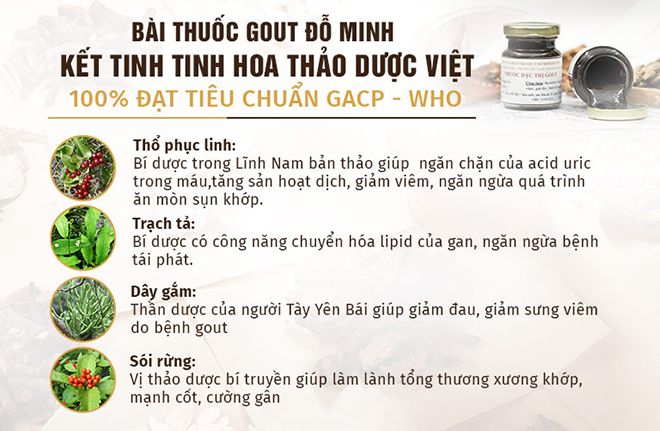 Thành phần bài thuốc Gout Đỗ Minh