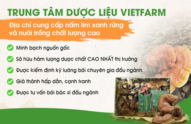 Nấm lim xanh Vietfarm có nhiều ưu điểm vượt trội