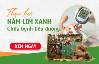 [Sự thật] Nấm lim xanh chữa bệnh tiểu đường có đúng không?