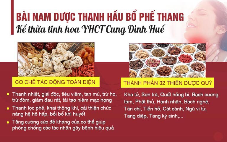 Thanh hầu bổ phế thang điều trị viêm amidan từ gốc đến ngọn