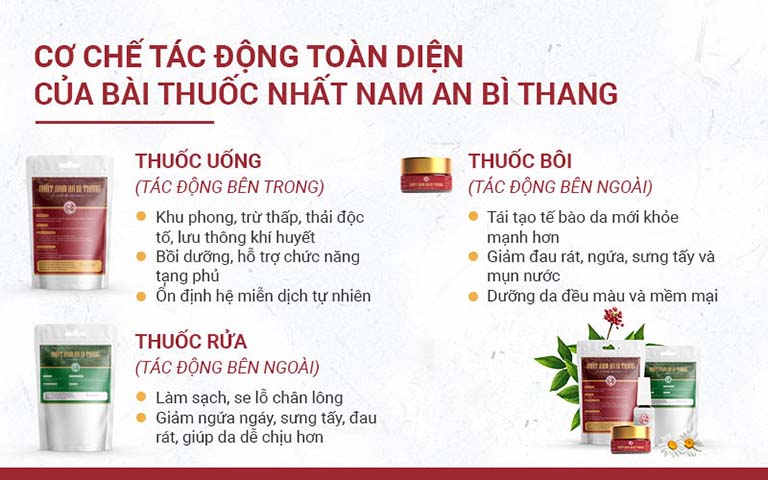 3 chế phẩm trong bài thuốc Nhất Nam An Bì Thang