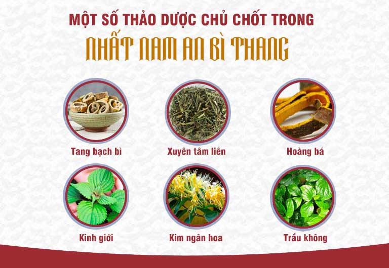 Những thảo dược quý trong bài thuốc Nhất Nam An Bì Thang