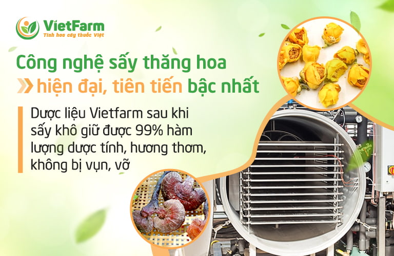 Công nghệ sấy thăng hoa đảm giữ trọn vẹn hàm lượng dược tính của dược liệu