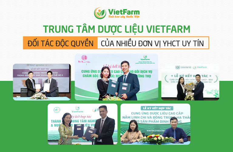 Đông trùng hạ thảo Vietfarm trở thành đơn vị cung ứng độc quyền cho nhiều đơn vị