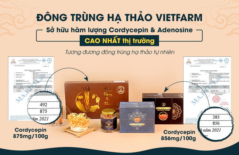 Sản phẩm Đông trùng hạ thảo Vietfarm đang được đánh giá cao trên thị trường hiện nay