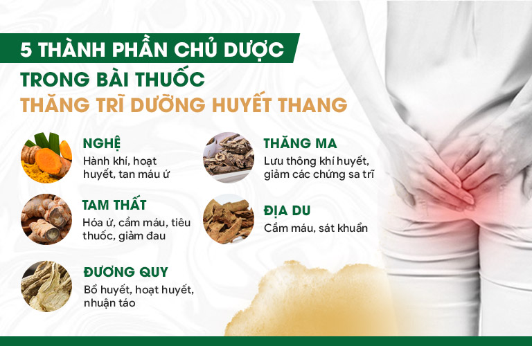 Các chủ dược có trong bài thuốc