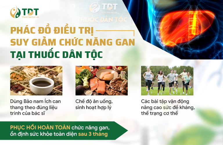 Phác đồ điều trị suy giảm chức năng gan với Bảo nam Ích can thang