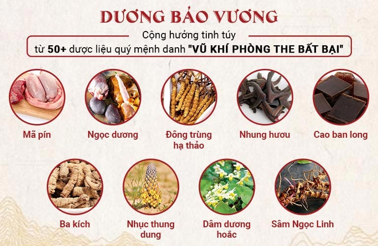 Combo sinh lý Dương Bảo Vương – Sự kết tinh của hơn 50 vị thuốc quý hiếm độc nhất vô nhị